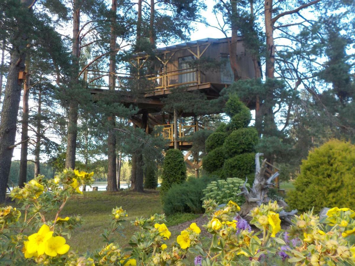 Treehouse Ciekurs Villa Dukuri Exterior photo